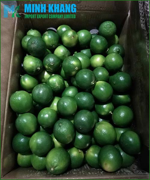 Lime